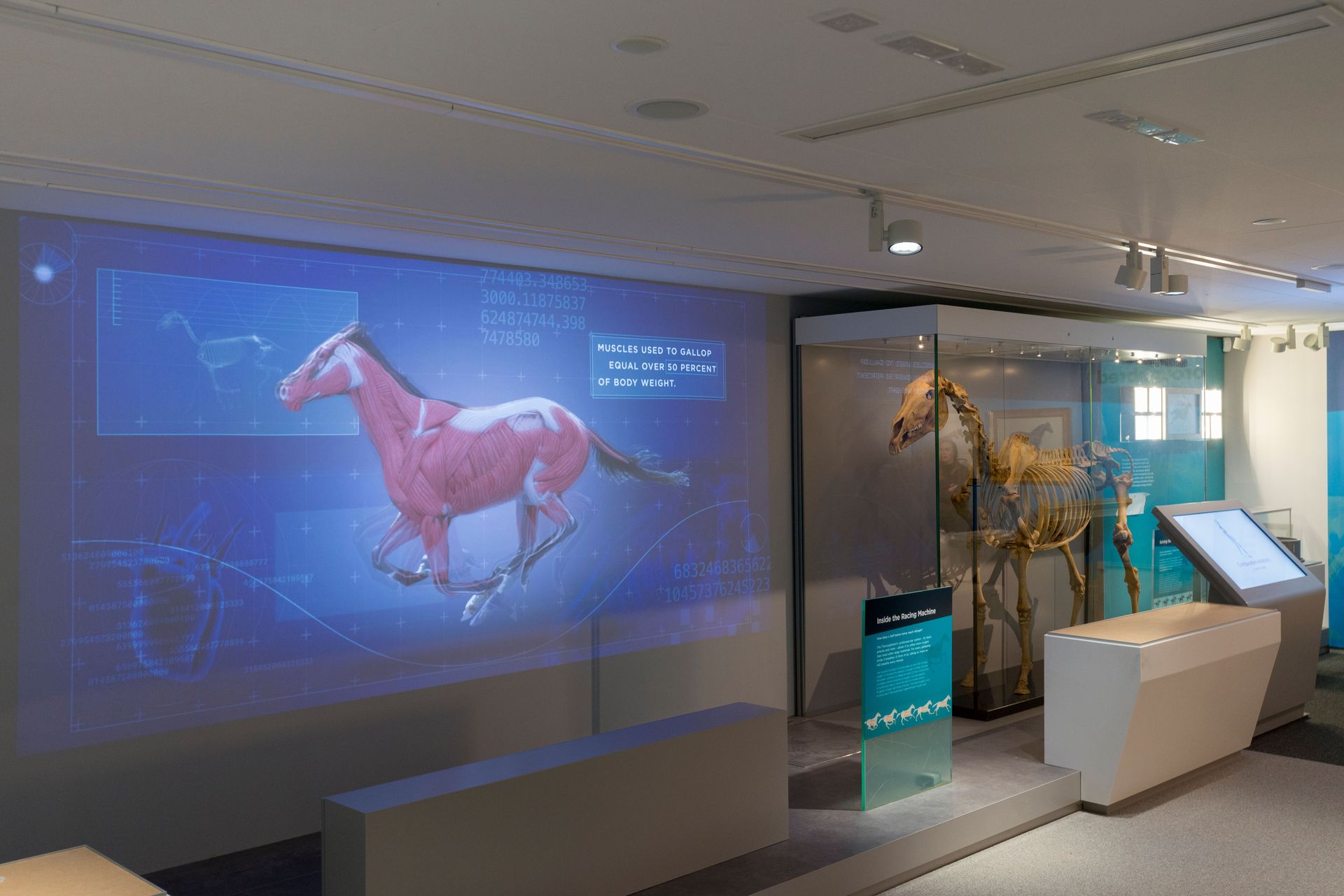 Palace House Newmarket